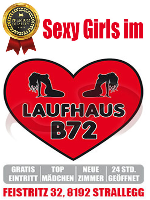 Laufhaus B72 in Steiermark / Strallegg , Feistritz 32