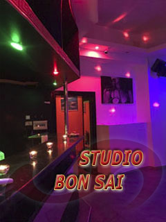 - Studios Wien:  Asia Studio Bon Sai  in Wien  / Wien , Puchsbaumgasse 49