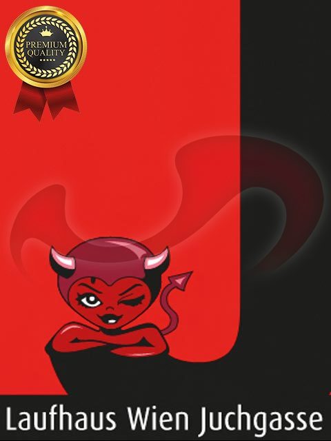 Laufhaus Juchgasse in Wien / Wien , Juchgasse 11