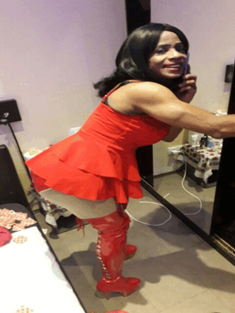 - Hausbesuche | Hotelbesuche: Trans Bianella Bronx 21 cm black aus Costa Rica aktiv/passiv in Steiermark / Hainfeld bei Fürstenfeld , Hainfeld 70